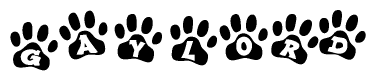 The image shows a series of animal paw prints arranged in a horizontal line. Each paw print contains a letter, and together they spell out the word Gaylord.