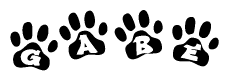 The image shows a row of animal paw prints, each containing a letter. The letters spell out the word Gabe within the paw prints.