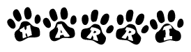 The image shows a row of animal paw prints, each containing a letter. The letters spell out the word Harri within the paw prints.