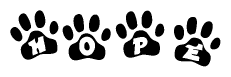 The image shows a row of animal paw prints, each containing a letter. The letters spell out the word Hope within the paw prints.