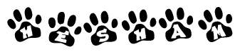 The image shows a series of animal paw prints arranged in a horizontal line. Each paw print contains a letter, and together they spell out the word Hesham.