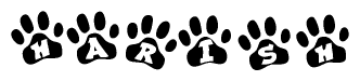 The image shows a series of animal paw prints arranged horizontally. Within each paw print, there's a letter; together they spell Harish