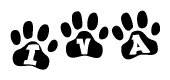 The image shows a series of animal paw prints arranged in a horizontal line. Each paw print contains a letter, and together they spell out the word Iva.