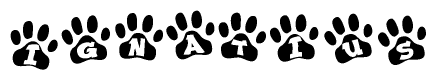 The image shows a series of animal paw prints arranged horizontally. Within each paw print, there's a letter; together they spell Ignatius