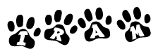 The image shows a series of animal paw prints arranged in a horizontal line. Each paw print contains a letter, and together they spell out the word Iram.