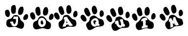 The image shows a series of animal paw prints arranged in a horizontal line. Each paw print contains a letter, and together they spell out the word Joaquim.
