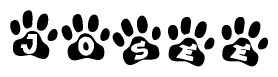 The image shows a series of animal paw prints arranged in a horizontal line. Each paw print contains a letter, and together they spell out the word Josee.