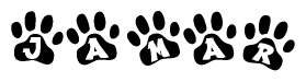 The image shows a series of animal paw prints arranged horizontally. Within each paw print, there's a letter; together they spell Jamar