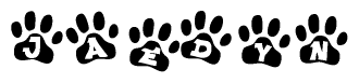 The image shows a series of animal paw prints arranged horizontally. Within each paw print, there's a letter; together they spell Jaedyn