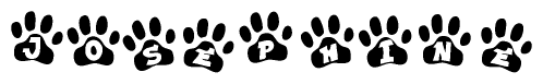The image shows a row of animal paw prints, each containing a letter. The letters spell out the word Josephine within the paw prints.
