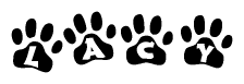 The image shows a series of animal paw prints arranged horizontally. Within each paw print, there's a letter; together they spell Lacy