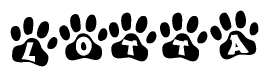 The image shows a series of animal paw prints arranged in a horizontal line. Each paw print contains a letter, and together they spell out the word Lotta.
