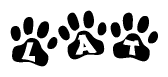 The image shows a row of animal paw prints, each containing a letter. The letters spell out the word Lat within the paw prints.