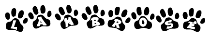The image shows a row of animal paw prints, each containing a letter. The letters spell out the word Lambrose within the paw prints.