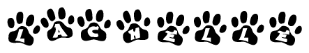 The image shows a row of animal paw prints, each containing a letter. The letters spell out the word Lachelle within the paw prints.