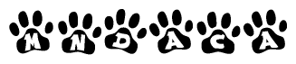 The image shows a series of animal paw prints arranged horizontally. Within each paw print, there's a letter; together they spell Mndaca