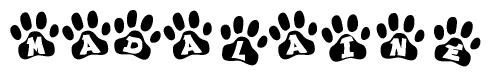 The image shows a row of animal paw prints, each containing a letter. The letters spell out the word Madalaine within the paw prints.
