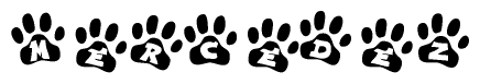 The image shows a series of animal paw prints arranged horizontally. Within each paw print, there's a letter; together they spell Mercedez