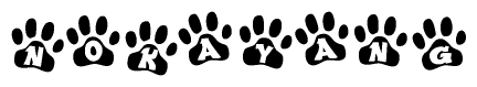 The image shows a row of animal paw prints, each containing a letter. The letters spell out the word Nokayang within the paw prints.