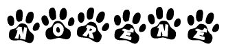 The image shows a series of animal paw prints arranged horizontally. Within each paw print, there's a letter; together they spell Norene