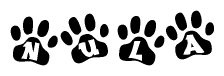 The image shows a series of animal paw prints arranged horizontally. Within each paw print, there's a letter; together they spell Nula