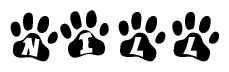 The image shows a row of animal paw prints, each containing a letter. The letters spell out the word Nill within the paw prints.