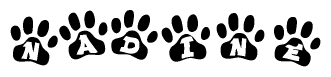 The image shows a series of animal paw prints arranged horizontally. Within each paw print, there's a letter; together they spell Nadine