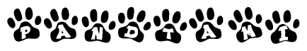 The image shows a series of animal paw prints arranged in a horizontal line. Each paw print contains a letter, and together they spell out the word Pandtami.