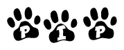 The image shows a series of animal paw prints arranged horizontally. Within each paw print, there's a letter; together they spell Pip