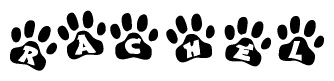 The image shows a series of animal paw prints arranged in a horizontal line. Each paw print contains a letter, and together they spell out the word Rachel.