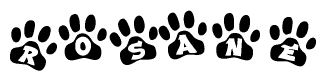 The image shows a row of animal paw prints, each containing a letter. The letters spell out the word Rosane within the paw prints.