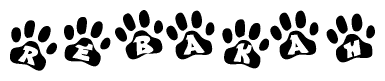 The image shows a row of animal paw prints, each containing a letter. The letters spell out the word Rebakah within the paw prints.