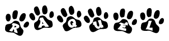 The image shows a series of animal paw prints arranged horizontally. Within each paw print, there's a letter; together they spell Raquel