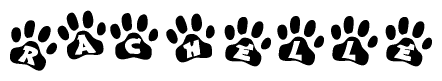 The image shows a series of animal paw prints arranged horizontally. Within each paw print, there's a letter; together they spell Rachelle