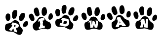 The image shows a series of animal paw prints arranged horizontally. Within each paw print, there's a letter; together they spell Ridwan