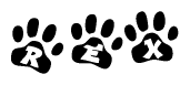 The image shows a row of animal paw prints, each containing a letter. The letters spell out the word Rex within the paw prints.