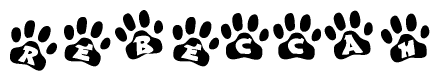 The image shows a series of animal paw prints arranged in a horizontal line. Each paw print contains a letter, and together they spell out the word Rebeccah.