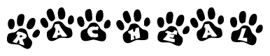 The image shows a row of animal paw prints, each containing a letter. The letters spell out the word Racheal within the paw prints.
