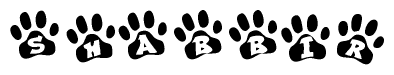 The image shows a series of animal paw prints arranged in a horizontal line. Each paw print contains a letter, and together they spell out the word Shabbir.
