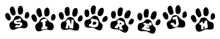 The image shows a series of animal paw prints arranged in a horizontal line. Each paw print contains a letter, and together they spell out the word Sindrejh.