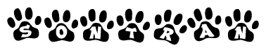 The image shows a series of animal paw prints arranged in a horizontal line. Each paw print contains a letter, and together they spell out the word Sontran.