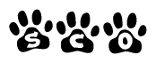 The image shows a series of animal paw prints arranged horizontally. Within each paw print, there's a letter; together they spell Sco