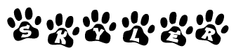 The image shows a series of animal paw prints arranged horizontally. Within each paw print, there's a letter; together they spell Skyler