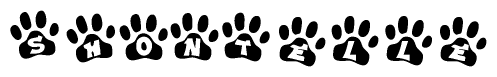 The image shows a series of animal paw prints arranged in a horizontal line. Each paw print contains a letter, and together they spell out the word Shontelle.