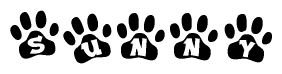The image shows a row of animal paw prints, each containing a letter. The letters spell out the word Sunny within the paw prints.