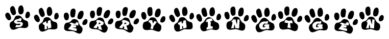 The image shows a series of animal paw prints arranged in a horizontal line. Each paw print contains a letter, and together they spell out the word Sherryhingtgen.