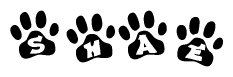 The image shows a row of animal paw prints, each containing a letter. The letters spell out the word Shae within the paw prints.