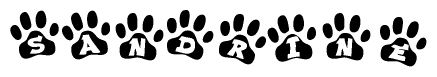 The image shows a series of animal paw prints arranged horizontally. Within each paw print, there's a letter; together they spell Sandrine