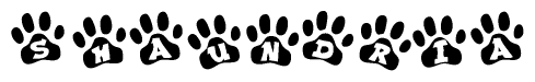 The image shows a row of animal paw prints, each containing a letter. The letters spell out the word Shaundria within the paw prints.