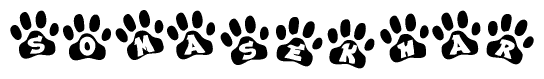 The image shows a series of animal paw prints arranged in a horizontal line. Each paw print contains a letter, and together they spell out the word Somasekhar.